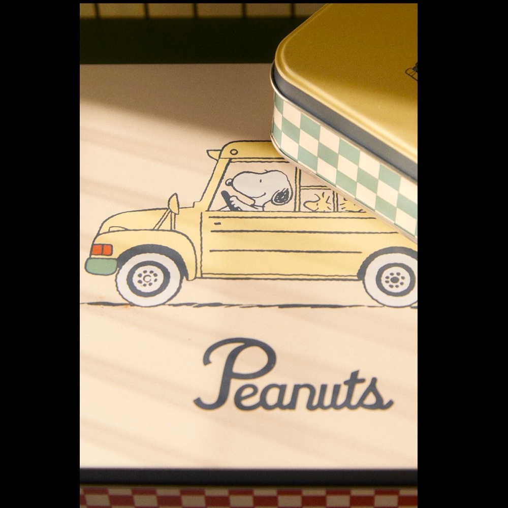 PEANUTS ™ METAL BOX